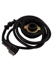 KM Rediktörü RKS Wildcat - 2