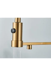 Mutfak Evye Bataryası Dual Flow Su Arıtma Çıkışlı Spiralli Fiskiyeli 7 Yıl Garantili Ithal Mat Gold - 6