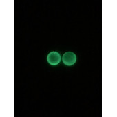 Daire Şekilli Beyaz Renkli Ebruli Gece Yeşil Neon Olan Parlak Küpe Epoksi El Yapımı Hediyelik thumbnail 7