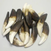 Doğal Tibet Beyaz 3-4cm Kurt Dişi Kolye Ayarlı İp Çift Boncuklu - 9