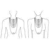 Tibet Tribal Gerçek Diş Kolye 4-5cm Kahve Renk Boy Ayarlı Kordon - 4