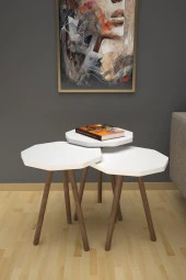 Limnizza Sekizgen Zigon Sehpa 3'lü Set Ahşap Orta Sehpa Modern Yan Sehpa Takımı Dekoratif Sehpa Beyaz - 1