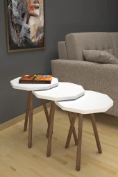 Limnizza Sekizgen Zigon Sehpa 3'lü Set Ahşap Orta Sehpa Modern Yan Sehpa Takımı Dekoratif Sehpa Beyaz - 2