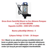 Gross Krom Santrifüj Mazot ve Sıvı Aktarım Pompası 1 Inc-24 Volt-GR3000 thumbnail 2