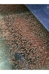 KEMİK PARÇALAMA MAKİNASI BONE CRUSHING MACHINE - 2