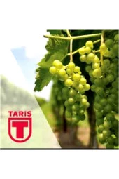 Üzüm Sirkesi 9x1000 Ml. - 2