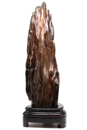 Ağaç Fosili Doğal Taş Standlı Parça thumbnail 1