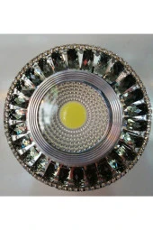 Tamled newlight 5+5w 3 Kademeli Kristal Cam Spot - 1