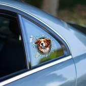 Fulcar Australian Shepherd Araç Stickerı - 2