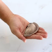 Yelken Midye Çanak 64 mm Düğme Bronz Mobilya Mutfak Dolabı Çekmece Dolap Kulpları Kulpu Kulb thumbnail 4