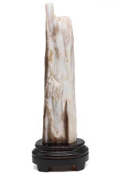 Ağaç Fosili Standlı Parça thumbnail 1