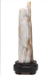 Ağaç Fosili Standlı Parça thumbnail 2