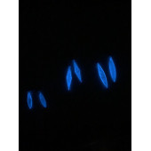 Şeffaf Renk Gece Mavi Neon Olan Gümüş Aksesuar Büyük Simetrik Şekil Sallantılı Epoksi Küpe Hediyelik thumbnail 5