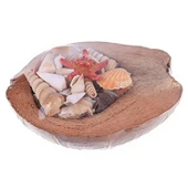 Coco Kabuk Sepeti 18-20 cm Arası - 1