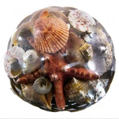 Sepet İçi Kabuk 18 CM - 1