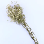 Kuru Çiçek Doğal Kurutulmuş Çiçek Doğal Cipso 40 CM 20 GR  Natural - 1