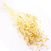 Kuru Çiçek Doğal Kurutulmuş Keten  Otu Çiçeği 35 GR (1 Demet)  Natural - 1