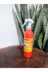 Air Freshener Oda Spreyi 350 Ml Melon - 2