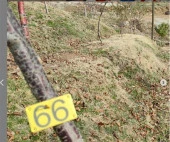 Arı Kovanı ve Ağaç Numara Plastik Etiket 10x5 cm thumbnail 7