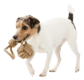 Trixie Köpek At-Getir ve Tut-Çek Oyuncağı, ø8/30cm - 2