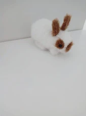 Lop Tavşan Amigurumi Organik Oyuncak - 5