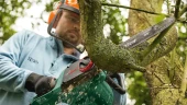 Bosch UniversalChain 40 Zincirli Ağaç Kesme Makinesi - 2