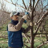 Bosch Professional Pro Pruner (Solo) Bahçe Makası - 3