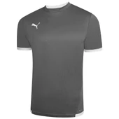 Puma 704917 Teamliga Jersey T-Shirt Dry-Cell Erkek Tişört thumbnail 2