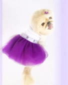 Eflatun Sevimli Fare Tütülü Köpek Elbisesi,  Kıyafeti Tutu - 1