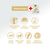 Felicia 6 Kg (2x3 Kg) Kolajenli Kuzulu Az Tahıllı Small/Mini Yetişkin Köpek Maması HypoAllergenic Köpek Maması - 5