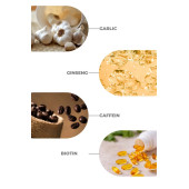 Zigavus Pro Lab Şampuan 300 ml 3 Al 2 Öde - Sarımsak, Kafein, Biotin, Ginseng Özlü 8699349130770 - 4