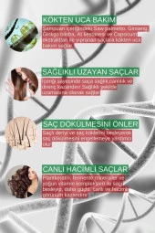 Zigavus Forte Ultra Clinical Dökülme Karşıtı Şampuan 3x300 ml - 3