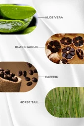 Zigavus Forte Ultra Clinical Yağlı Saçlar İçin Dökülme Karşıtı Şampuan 3X300 Ml thumbnail 5