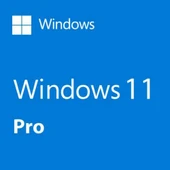 MICROSOFT Windows 11 Pro Trk Kutu 32/64 bit HAV-00159 - 1