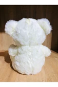 Ayı Kurdelalı Peluş 30 cm - 9