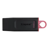 KINGSTON 256GB USB3.2 DTX/256GB USB BELLEK - 1