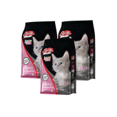 Cat Food Energy 1 kg Tavuklu Yavru Kedi Maması - 3 Adet - 2