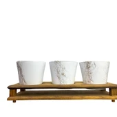 Bitki Tasarımı Ev dekorasyon Aksesuar Beyaz Gold Mermer Efektli Toprak Saksı Üçlü Ahşap Tabanlı Çiçeklik Saksı Saksılık thumbnail 1