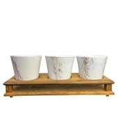 Bitki Tasarımı Ev dekorasyon Aksesuar Beyaz Gold Mermer Efektli Toprak Saksı Üçlü Ahşap Tabanlı Çiçeklik Saksı Saksılık thumbnail 2