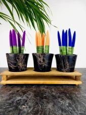 Bitki Tasarımı Ev dekorasyon Aksesuar Siyah Gold Mermer Efektli Toprak Saksı Üçlü Ahşap Tabanlı Çiçeklik Saksı Saksılık thumbnail 1