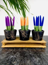 Bitki Tasarımı Ev dekorasyon Aksesuar Siyah Gold Mermer Efektli Toprak Saksı Üçlü Ahşap Tabanlı Çiçeklik Saksı Saksılık thumbnail 2