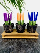 Bitki Tasarımı Ev dekorasyon Aksesuar Siyah Gold Mermer Efektli Toprak Saksı Üçlü Ahşap Tabanlı Çiçeklik Saksı Saksılık thumbnail 3