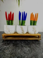 Bitki Tasarımı Ev dekorasyon Aksesuar Beyaz Gold Mermer Efektli Toprak Saksı Üçlü Ahşap Tabanlı Belly Çiçeklik Saksı Saksılık thumbnail 2