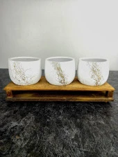 Bitki Tasarımı Ev dekorasyon Aksesuar Beyaz Gold Mermer Efektli Toprak Saksı Üçlü Ahşap Tabanlı Belly Çiçeklik Saksı Saksılık thumbnail 5