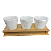 Bitki Tasarımı Ev dekorasyon Aksesuar Beyaz Gold Mermer Efektli Toprak Saksı Üçlü Ahşap Tabanlı Çiçeklik Saksı Saksılık thumbnail 4