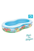 Havuz Oval Desenli 262 Cm x 157 Cm - 2