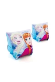 Frozen Kolluk 23 Cm x 15 Cm - 1
