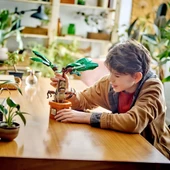 LEGO Harry Potter Adamotu 76433 - 7