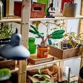 LEGO Harry Potter Adamotu 76433 - 5