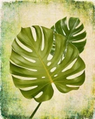 Tropik Yaprak 2 - Kanvas Tablo thumbnail 1